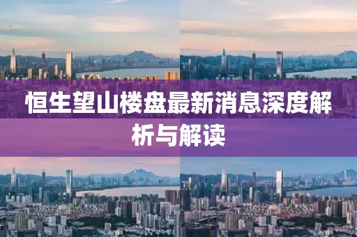 恒生望山樓盤最新消息深度解析與解讀