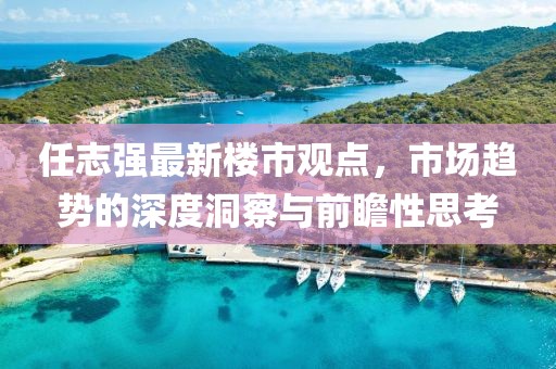 任志強(qiáng)最新樓市觀點，市場趨勢的深度洞察與前瞻性思考