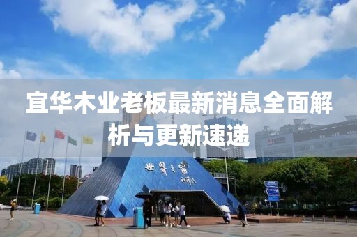 宜華木業(yè)老板最新消息全面解析與更新速遞