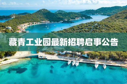 藏青工業(yè)園最新招聘啟事公告