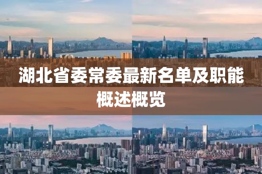 湖北省委常委最新名單及職能概述概覽