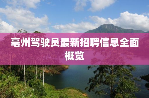 亳州駕駛員最新招聘信息全面概覽