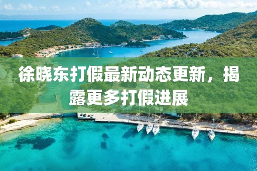 徐曉東打假最新動態(tài)更新，揭露更多打假進展