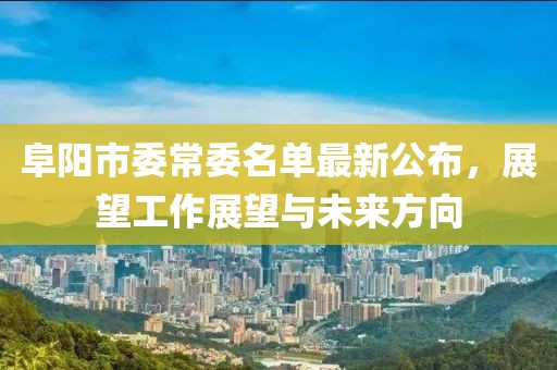 阜陽市委常委名單最新公布，展望工作展望與未來方向