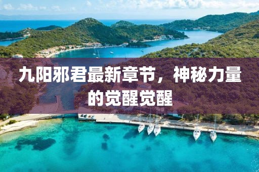 九陽邪君最新章節(jié)，神秘力量的覺醒覺醒