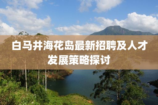 白馬井海花島最新招聘及人才發(fā)展策略探討