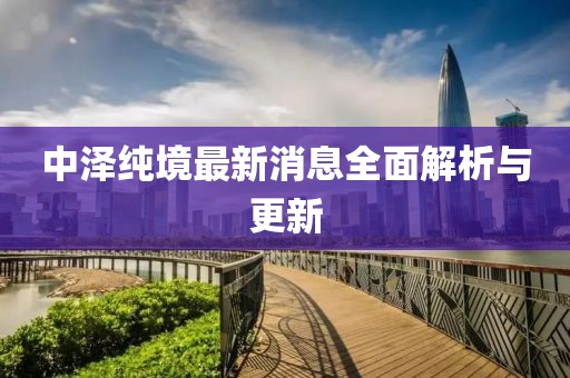 中澤純境最新消息全面解析與更新