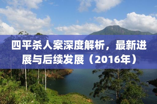 四平殺人案深度解析，最新進展與后續(xù)發(fā)展（2016年）
