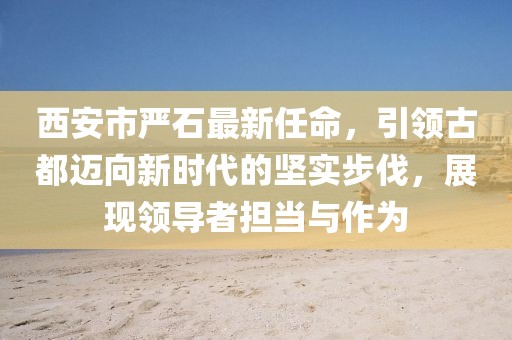西安市嚴石最新任命，引領古都邁向新時代的堅實步伐，展現(xiàn)領導者擔當與作為