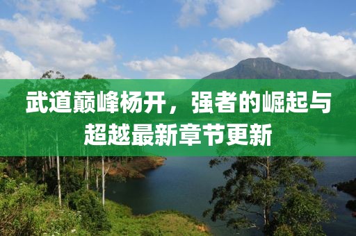 武道巔峰楊開(kāi)，強(qiáng)者的崛起與超越最新章節(jié)更新