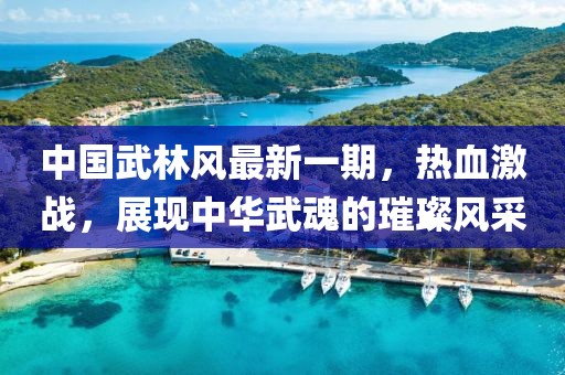 中國武林風(fēng)最新一期，熱血激戰(zhàn)，展現(xiàn)中華武魂的璀璨風(fēng)采