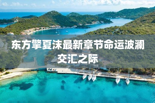 東方擎夏沫最新章節(jié)命運(yùn)波瀾交匯之際