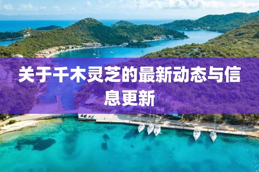 淺笑輕吟夢(mèng)一曲 第13頁(yè)