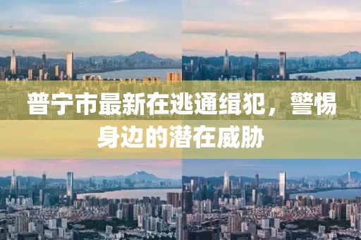 普寧市最新在逃通緝犯，警惕身邊的潛在威脅