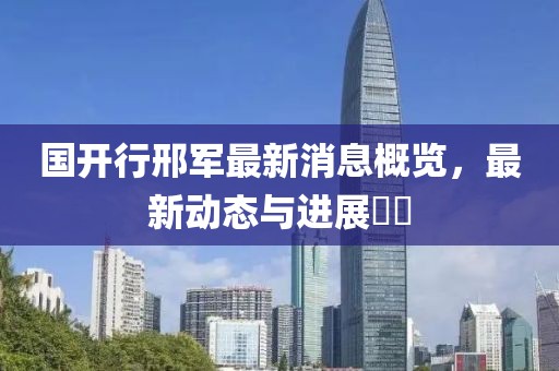 國開行邢軍最新消息概覽，最新動態(tài)與進展??