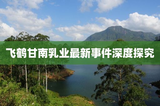 飛鶴甘南乳業(yè)最新事件深度探究