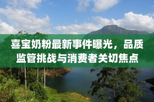 喜寶奶粉最新事件曝光，品質(zhì)監(jiān)管挑戰(zhàn)與消費(fèi)者關(guān)切焦點(diǎn)