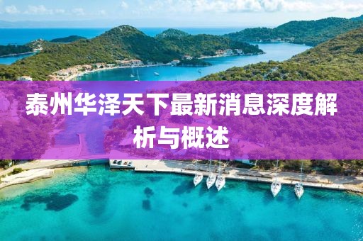 泰州華澤天下最新消息深度解析與概述