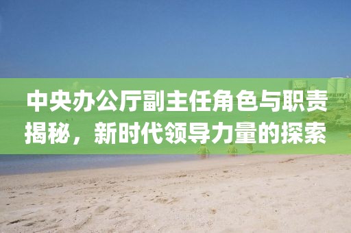 中央辦公廳副主任角色與職責(zé)揭秘，新時(shí)代領(lǐng)導(dǎo)力量的探索