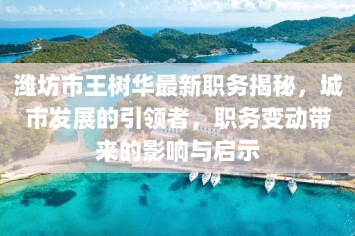 濰坊市王樹華最新職務(wù)揭秘，城市發(fā)展的引領(lǐng)者，職務(wù)變動帶來的影響與啟示