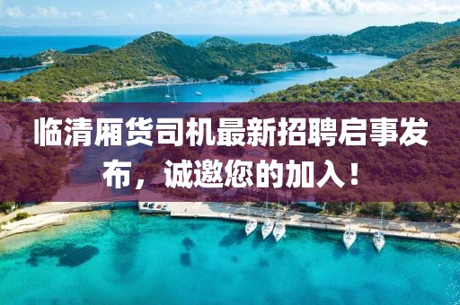 臨清廂貨司機(jī)最新招聘啟事發(fā)布，誠邀您的加入！