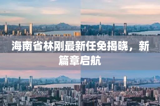 海南省林剛最新任免揭曉，新篇章啟航