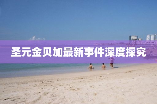 圣元金貝加最新事件深度探究