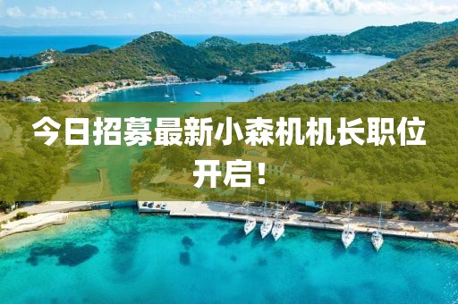 今日招募最新小森機機長職位開啟！