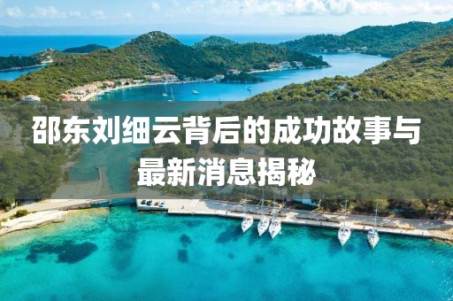 邵東劉細(xì)云背后的成功故事與最新消息揭秘