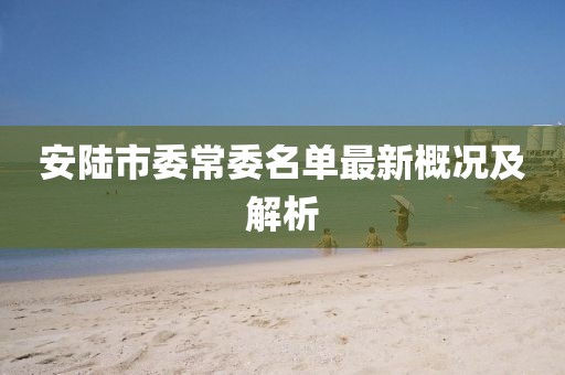安陸市委常委名單最新概況及解析