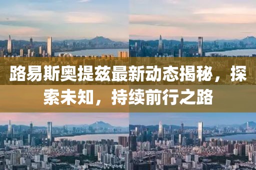 路易斯奧提茲最新動態(tài)揭秘，探索未知，持續(xù)前行之路