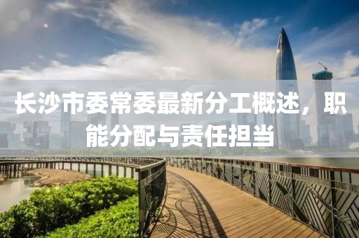 長沙市委常委最新分工概述，職能分配與責(zé)任擔(dān)當(dāng)
