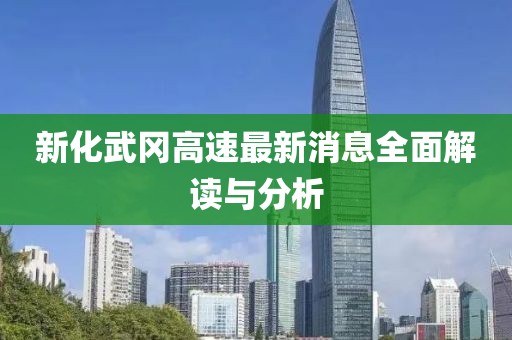 新化武岡高速最新消息全面解讀與分析