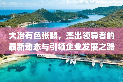 大冶有色張麟，杰出領(lǐng)導(dǎo)者的最新動(dòng)態(tài)與引領(lǐng)企業(yè)發(fā)展之路