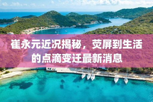 崔永元近況揭秘，熒屏到生活的點滴變遷最新消息