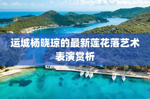 運(yùn)城楊曉瓊的最新蓮花落藝術(shù)表演賞析