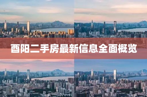 酉陽(yáng)二手房最新信息全面概覽