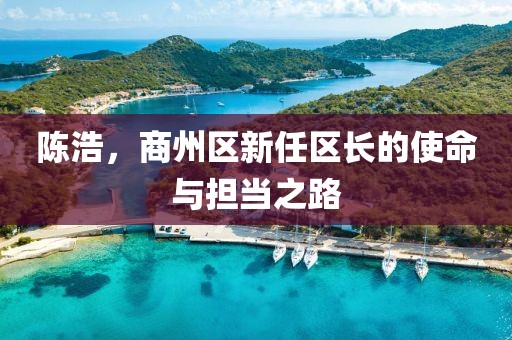 陳浩，商州區(qū)新任區(qū)長(zhǎng)的使命與擔(dān)當(dāng)之路