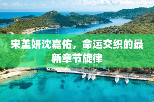 宋堇妍沈嘉佑，命運交織的最新章節(jié)旋律
