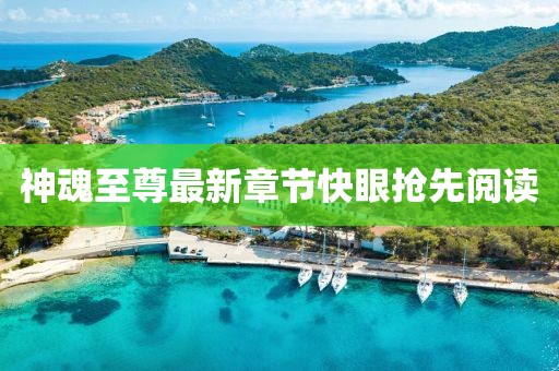 神魂至尊最新章節(jié)快眼搶先閱讀