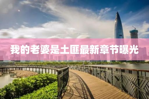 我的老婆是土匪最新章節(jié)曝光