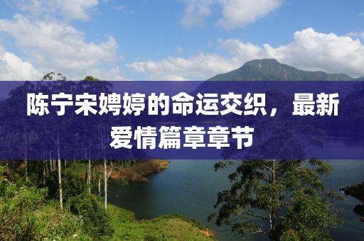 陳寧宋娉婷的命運(yùn)交織，最新愛情篇章章節(jié)