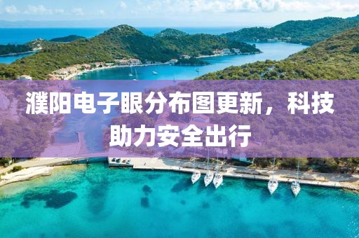 濮陽電子眼分布圖更新，科技助力安全出行