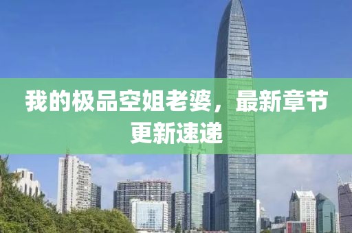 我的極品空姐老婆，最新章節(jié)更新速遞