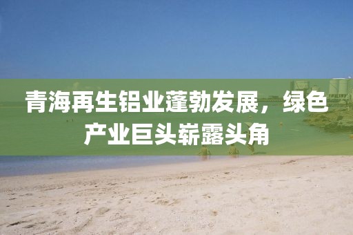 青海再生鋁業(yè)蓬勃發(fā)展，綠色產(chǎn)業(yè)巨頭嶄露頭角
