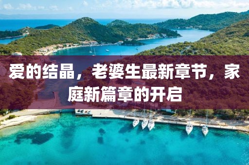 愛的結(jié)晶，老婆生最新章節(jié)，家庭新篇章的開啟