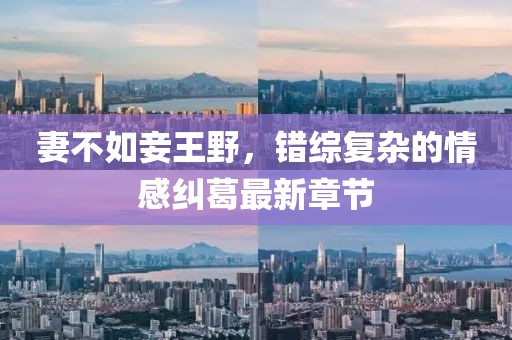 寰鸞 第11頁