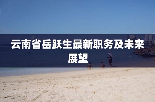 云南省岳躍生最新職務(wù)及未來(lái)展望