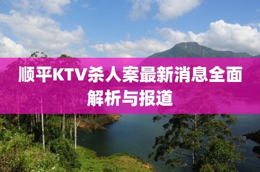 順平KTV殺人案最新消息全面解析與報道