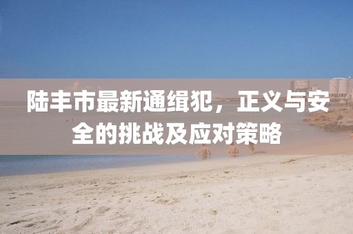 陸豐市最新通緝犯，正義與安全的挑戰(zhàn)及應(yīng)對策略
